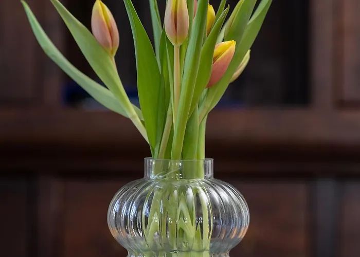 Freiken 28 Appartamento Arnsberg